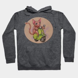 Scooter Kitty Hoodie